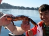 Miles catches a BIG crab with his hostdad